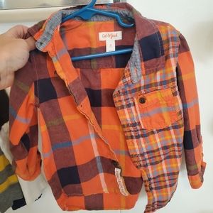 Toddler boy's button down